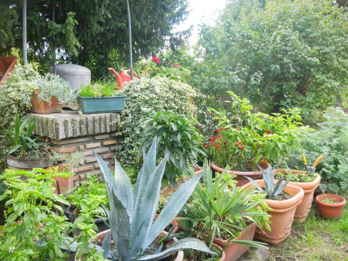 Appartamento Danilla Maratello Ngoại thất bức ảnh